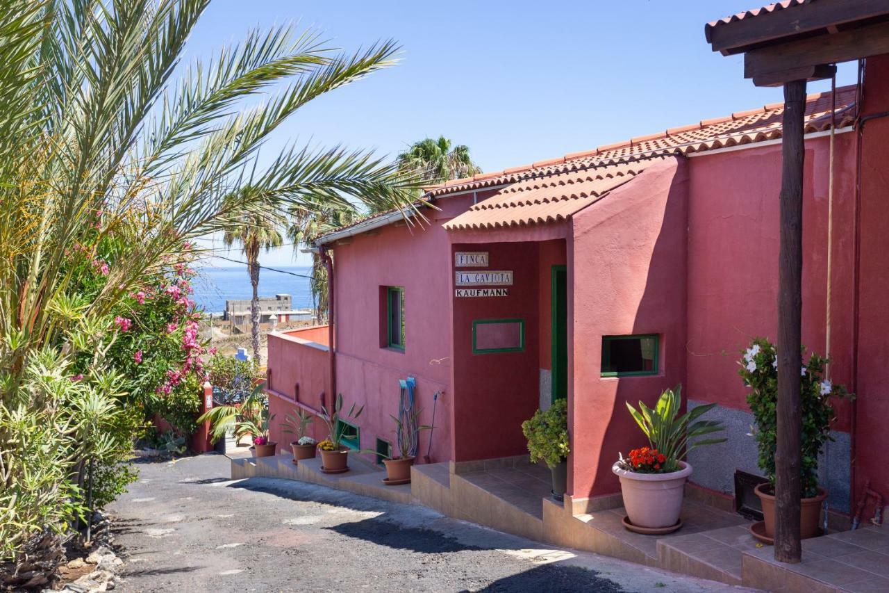 Finca La Gaviota - El Rincon Icod De Los Vinos Exterior foto